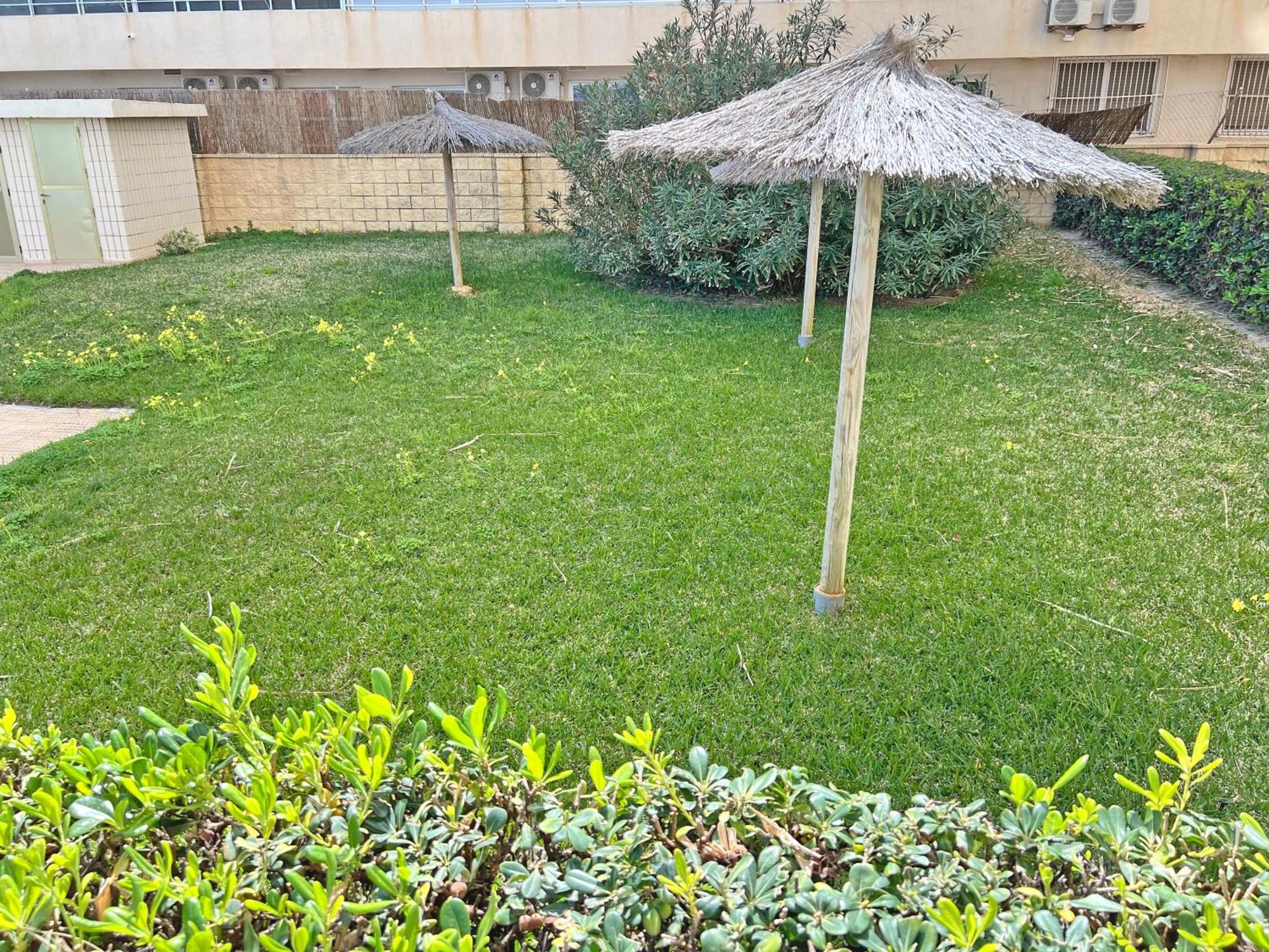 Apartmán Oasis Frente Al Mar. Parking Gratis El Campello Exteriér fotografie