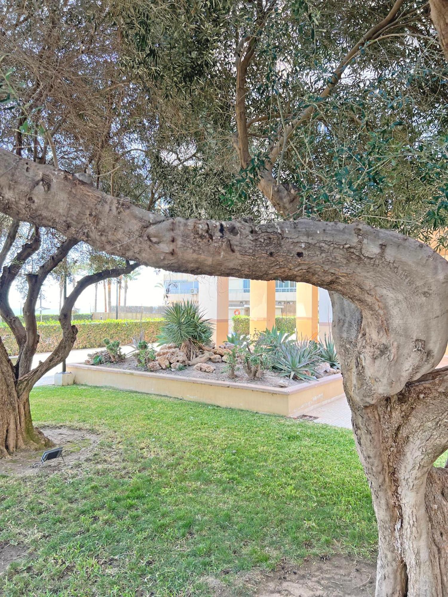 Apartmán Oasis Frente Al Mar. Parking Gratis El Campello Exteriér fotografie