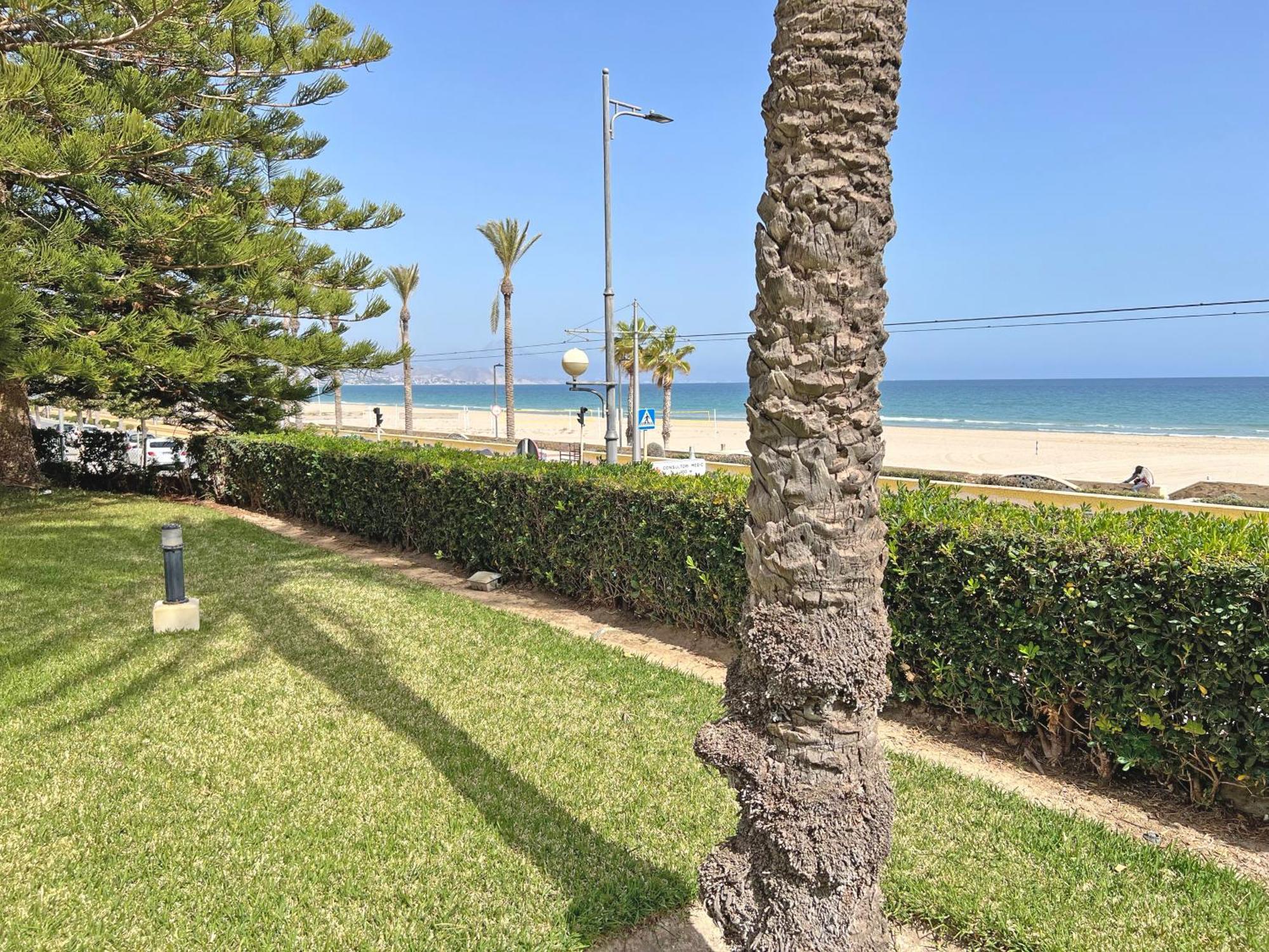 Apartmán Oasis Frente Al Mar. Parking Gratis El Campello Exteriér fotografie