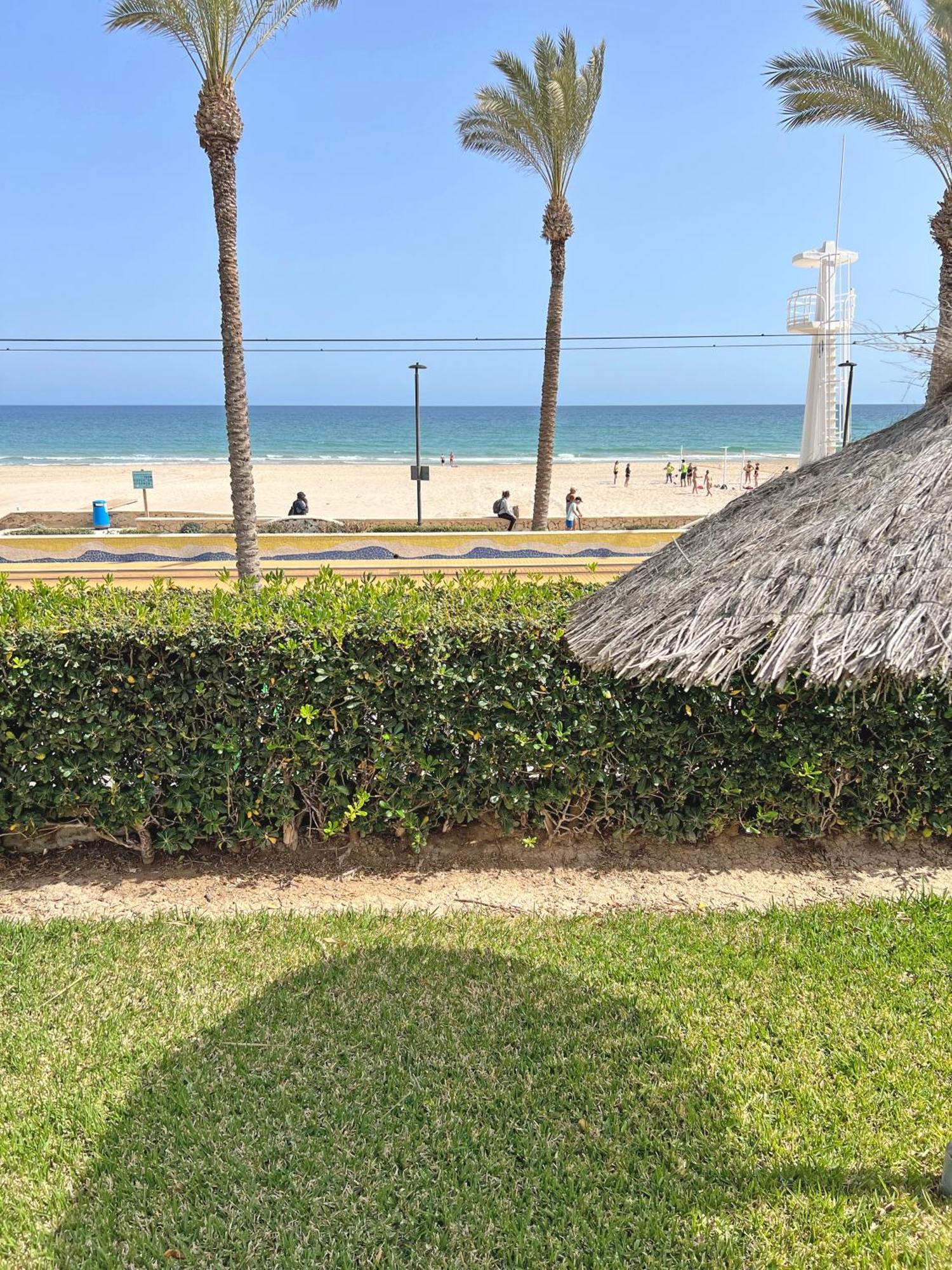 Apartmán Oasis Frente Al Mar. Parking Gratis El Campello Exteriér fotografie
